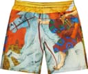 Ronin Silk Short view 11