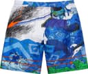 Ronin Silk Short view 17