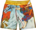 Ronin Silk Short view 18