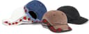 Roses 6-Panel view 1