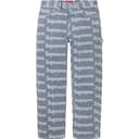 Denim Painter Pant view 5