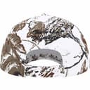 Difference 6-Panel view 2