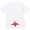 Electromagnetic Tee view 4