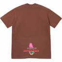 Electromagnetic Tee view 9