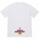 Electromagnetic Tee view 11