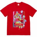 Electromagnetic Tee view 12