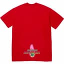 Electromagnetic Tee view 13