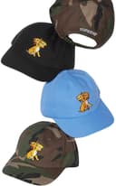 Melvins 6-Panel view 1