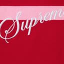 Cursive Polo view 14