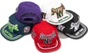 New York 6-Panel view 1