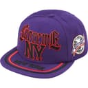 New York 6-Panel view 4