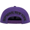 New York 6-Panel view 5