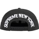 New York 6-Panel view 8