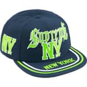 New York 6-Panel view 9