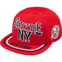 New York 6-Panel view 13