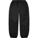 Nylon Trail Pant view 12