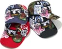 Patches 6-Panel view 1