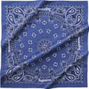 Silk Bandana view 2