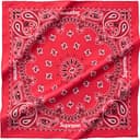 Silk Bandana view 3