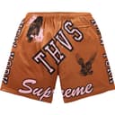 Varsity Mesh Short view 2