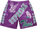 Varsity Mesh Short view 10