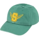 Wings Logo 6-Panel view 2