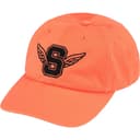 Wings Logo 6-Panel view 14