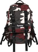 Backpack view 12