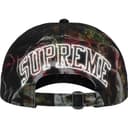 Shadows 6-Panel view 4