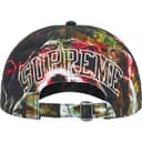 Shadows 6-Panel view 5