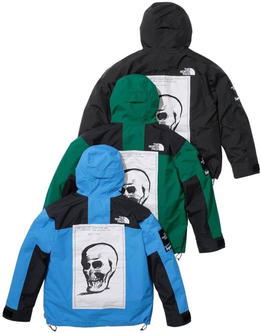 Supreme®/The North Face® Mountain Jacket