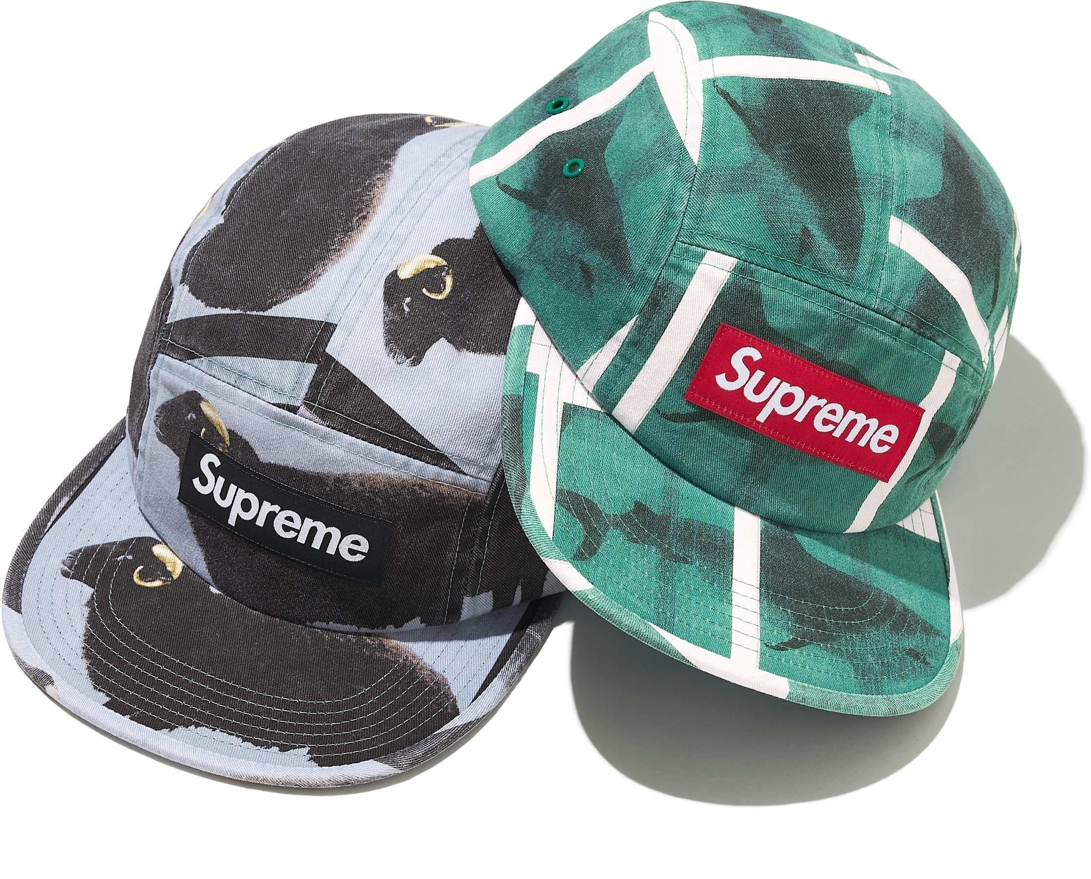 Supreme/Damien Hirst Camp Cap